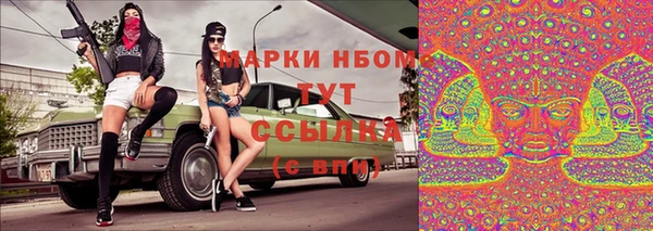 apvp Алексин