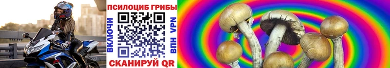 ОМГ ОМГ Моздок Псилоцибиновые грибы мухоморы