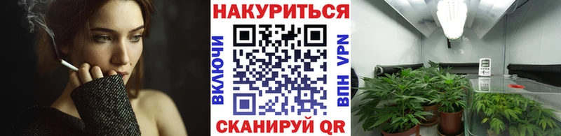 Шишки марихуана план  Моздок 